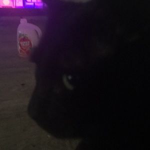 Meet your Posher, Kay